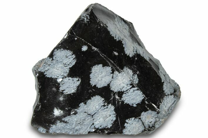 Snowflake Obsidian Section - Utah #300239